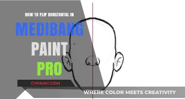 Master Medibang Paint Pro: Easy Steps to Flip Horizontal