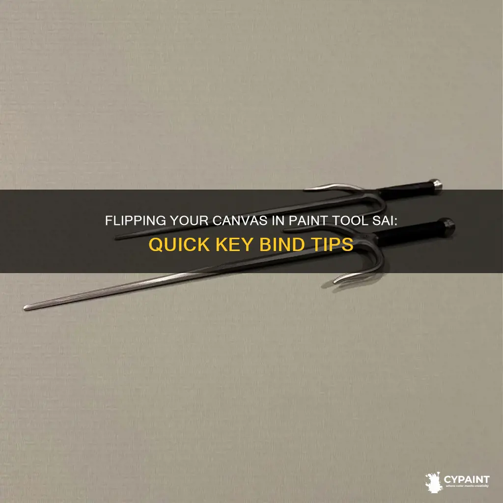 how to flip in paint tool sai key bind