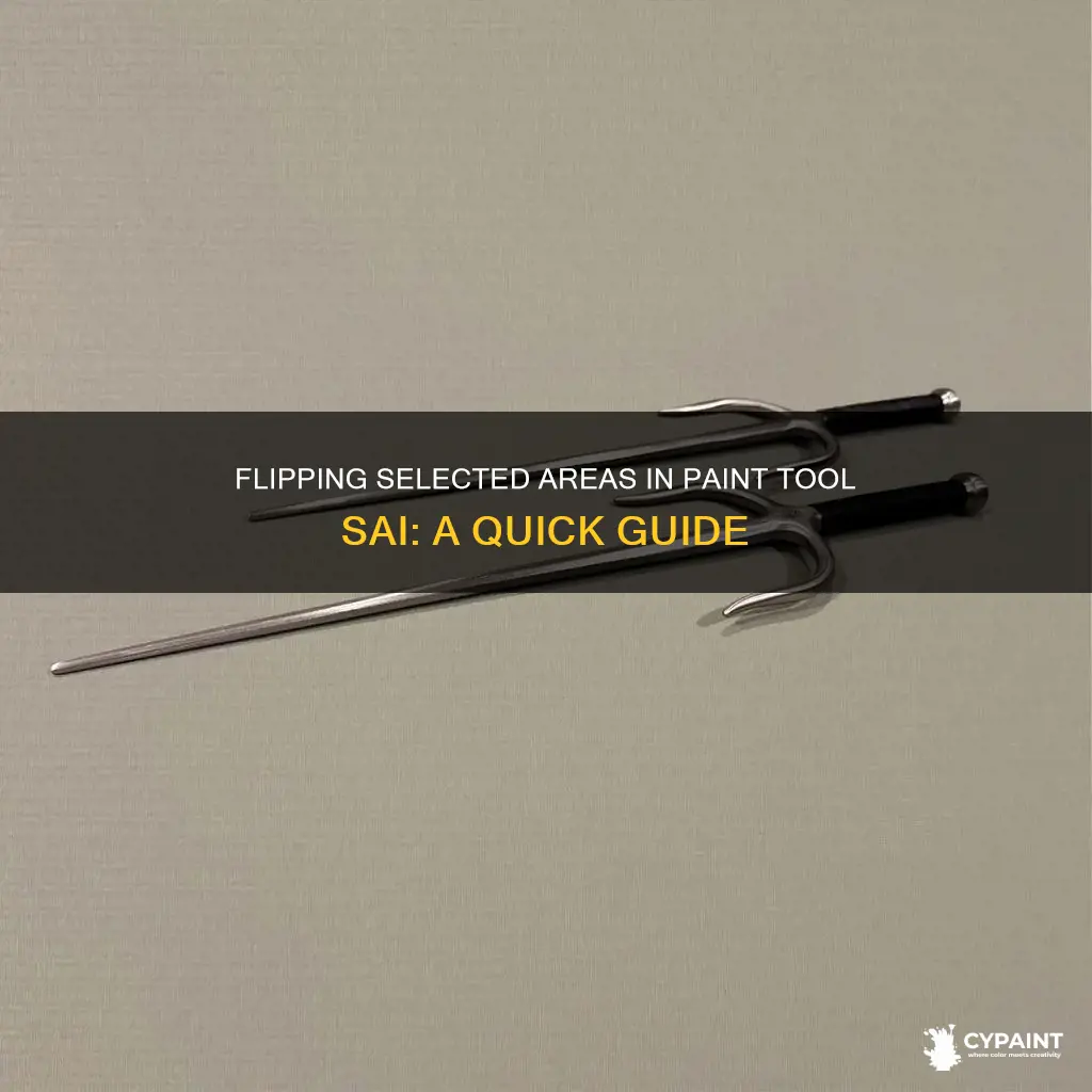 how to flip selected area in paint tool sai