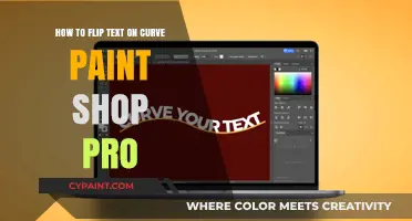 Flipping Text on a Curve in Paint Shop Pro: A Guide