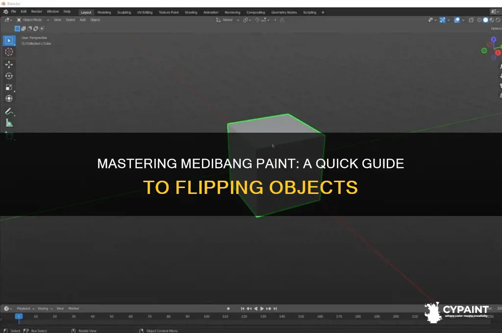 how to flip things in medibang paint