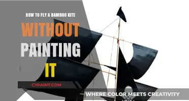 Bamboo Kites: Flying Without Paint