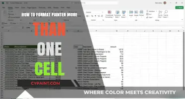 Mastering Excel: Efficiently Format Painter Across Multiple Cells