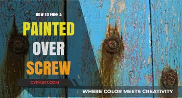 Uncover and Remove: Techniques to Free a Painted-Over Screw