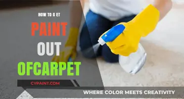 Effective Tips to Remove Paint Stains from Your Carpet Easily