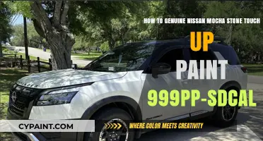 Genuine Nissan Mocha Stone Touch-Up Paint: 999PP-SDCAL Application Guide