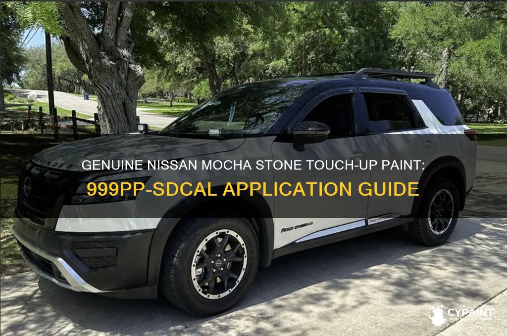 how to genuine nissan mocha stone touch up paint 999pp-sdcal