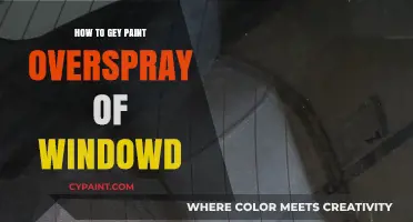 Effective Techniques to Remove Paint Overspray from Windows Easily