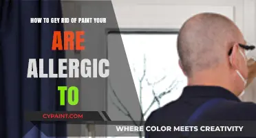 Effective Ways to Remove Allergenic Paint Safely from Your Home