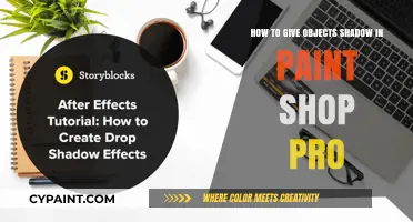 Creating Shadows for Objects in Paint Shop Pro