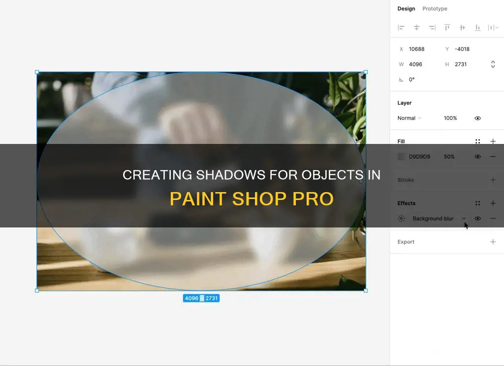 how to give objects shadow in paint shop pro