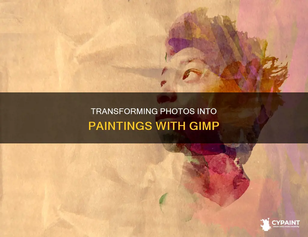how to give photo a painted look in gimp
