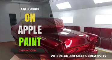 Reviving Apple Paint: A Step-by-Step Guide to Restore Your Artwork