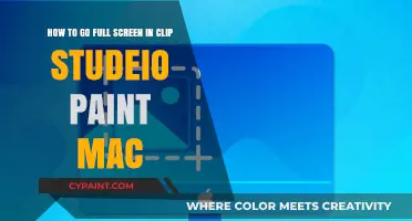 Master Full Screen Mode in Clip Studio Paint on Mac