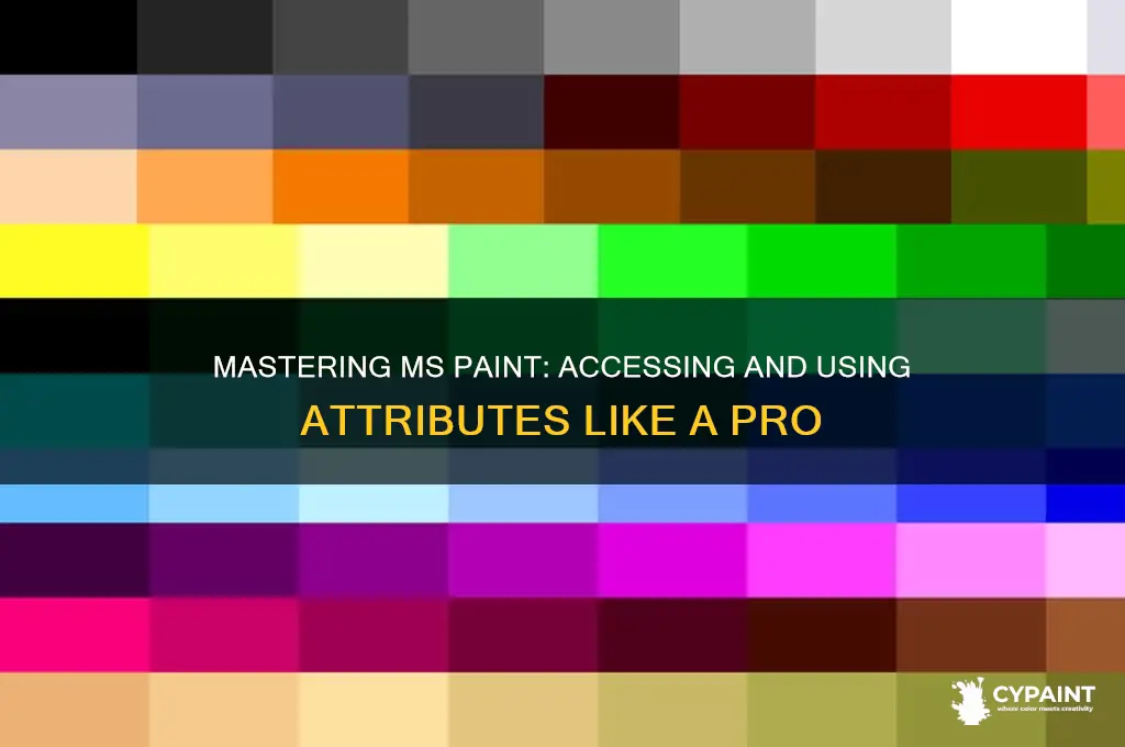 how to go to ms paint atrributes