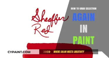 Master Paint: Quick Tips to Re-Select Your Image Area Easily