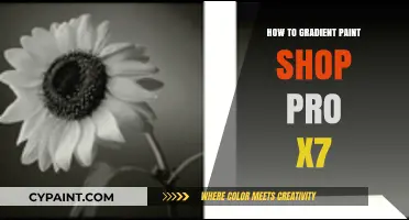 Master Gradient Techniques in PaintShop Pro X7: A Step-by-Step Guide