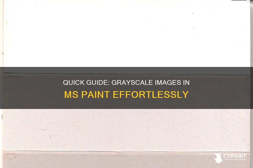 how to grayscale an image in ms paint