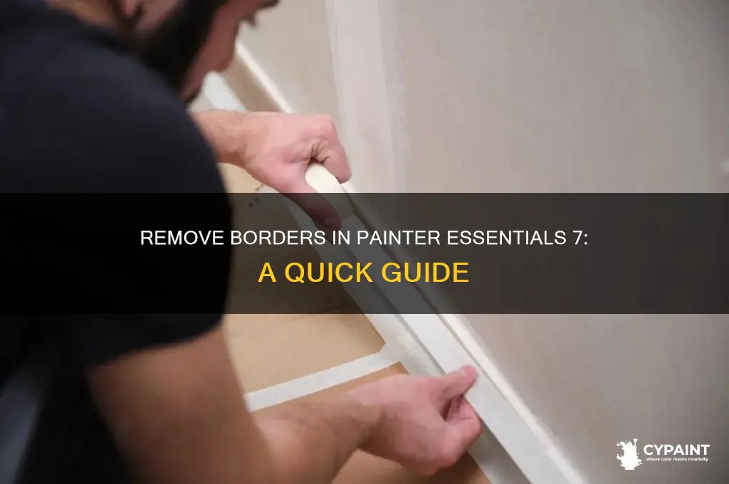 how to gt rid of border in painter essentials 7