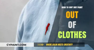 Effective Tips to Remove Dried Paint Stains from Your Clothes