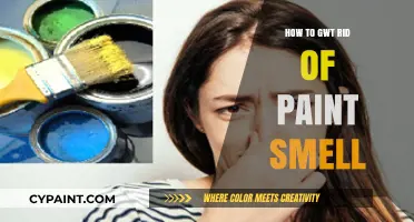Effective Ways to Eliminate Paint Smell Quickly and Safely