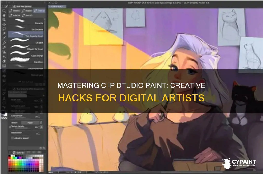 how to hack c ip dtudio paint