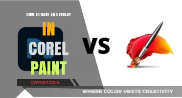 Mastering Corel Paint: Easy Steps to Create Perfect Overlays