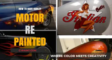 Revamp Your Harley: A Step-by-Step Guide to Repainting Your Motorcycle