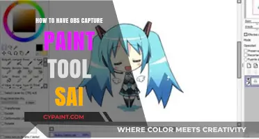OBS Setup Guide: Capturing Paint Tool SAI for Streaming and Recording
