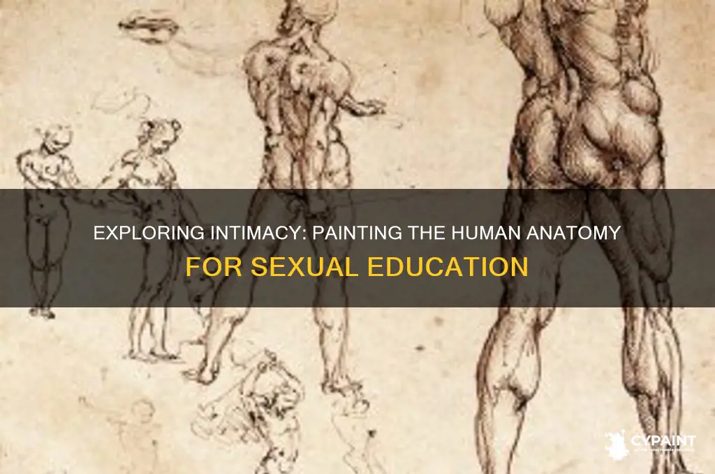 how to have sex anatomy diagram painting