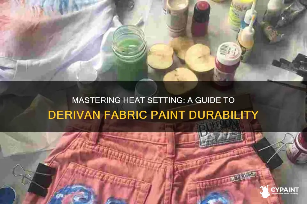 how to heat set derivan fabric paint