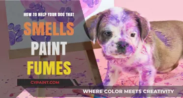 Protect Your Dog: Paint Fumes and Their Hazards