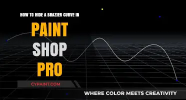 Mastering PaintShop Pro: Conceal Brazier Curves with These Simple Techniques