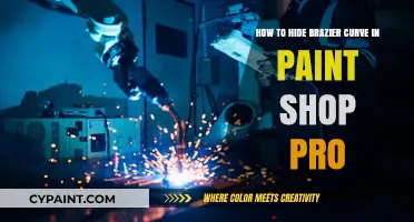 Mastering the Art of Disguise: Hiding Brazer Curves in Paint Shop Pro