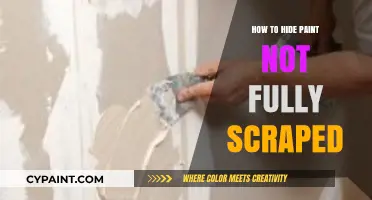 Conceal Imperfections: Clever Ways to Hide Paint Not Fully Scraped