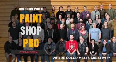 Mastering PaintShop Pro: Conceal Paths Like a Pro in Simple Steps