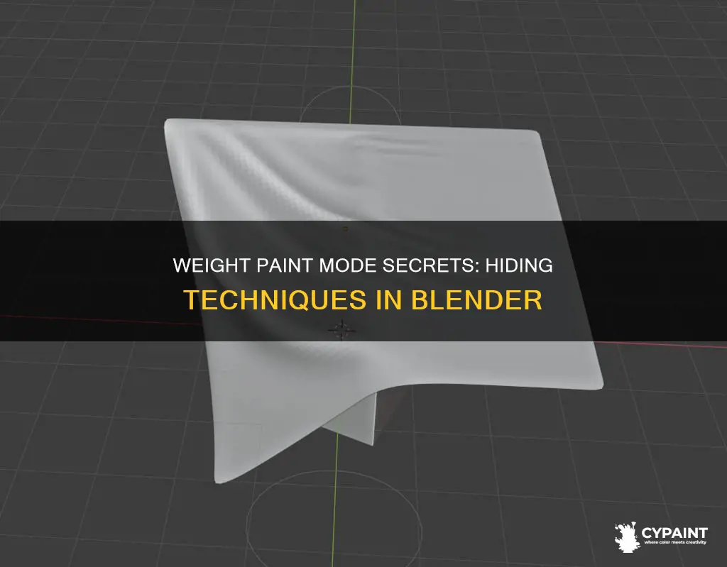 how to hide stuff in weight paint mode blender