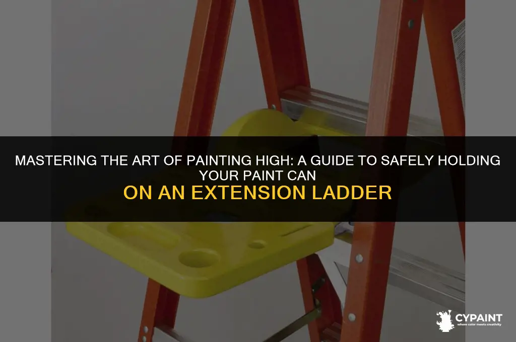 how to hold paint can on extension ladder