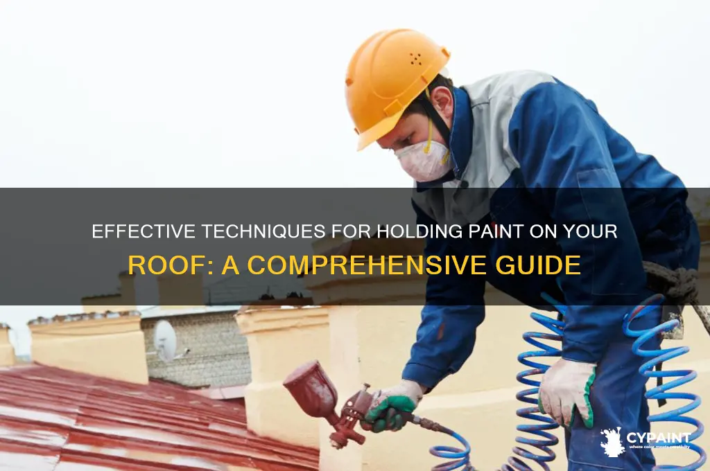 how to hold paint on a roof