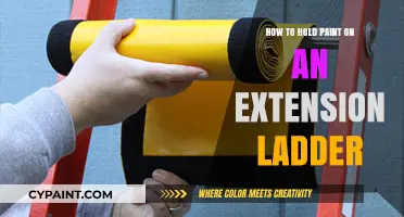 Mastering Paint Application: Tips for Using an Extension Ladder Safely