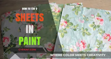 Mastering Paint: A Step-by-Step Guide to Working with Two Sheets