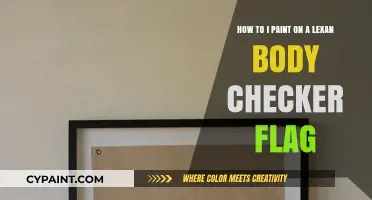 Mastering Lexan Body Checker Flag Painting: Tips and Techniques