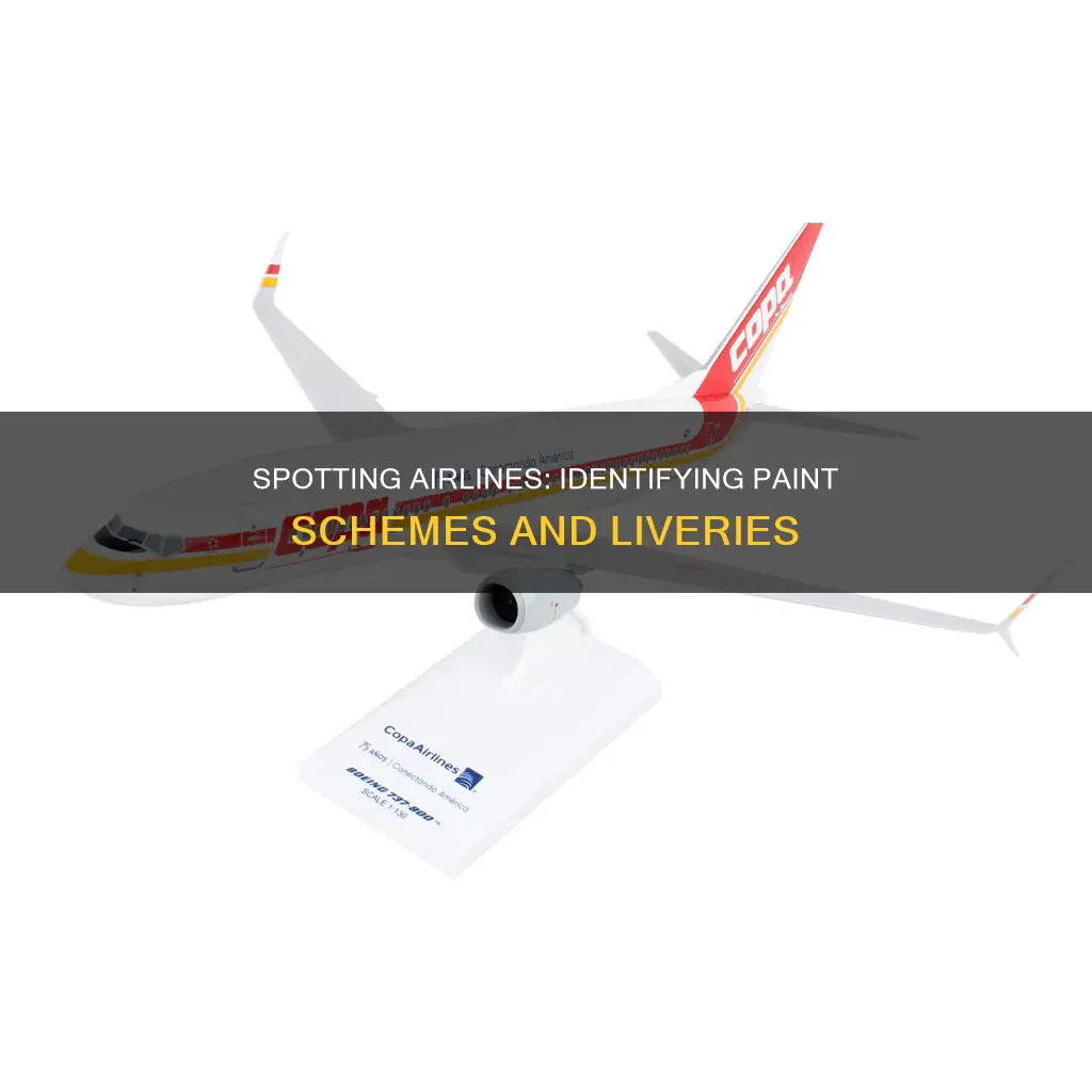 how to identify an airline by the paint scheme
