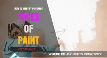 Mastering Paint Identification: A Guide to Recognizing Various Paint Types
