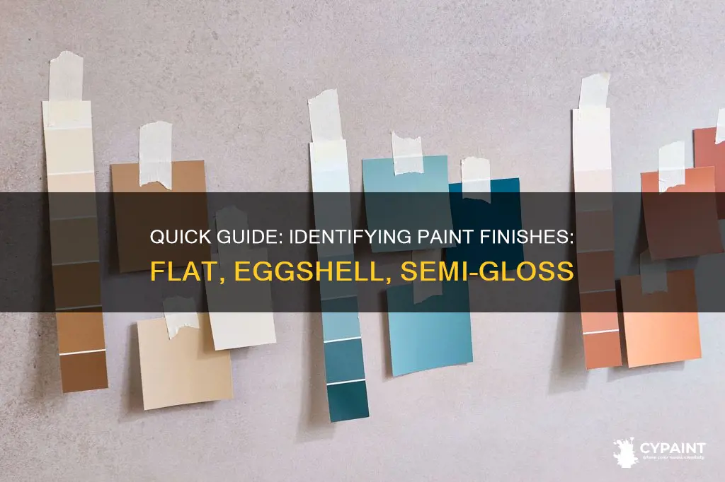 how to identify paint type flat eggshell semi gloss