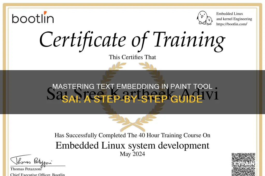 how to imbed text in paint tool sai