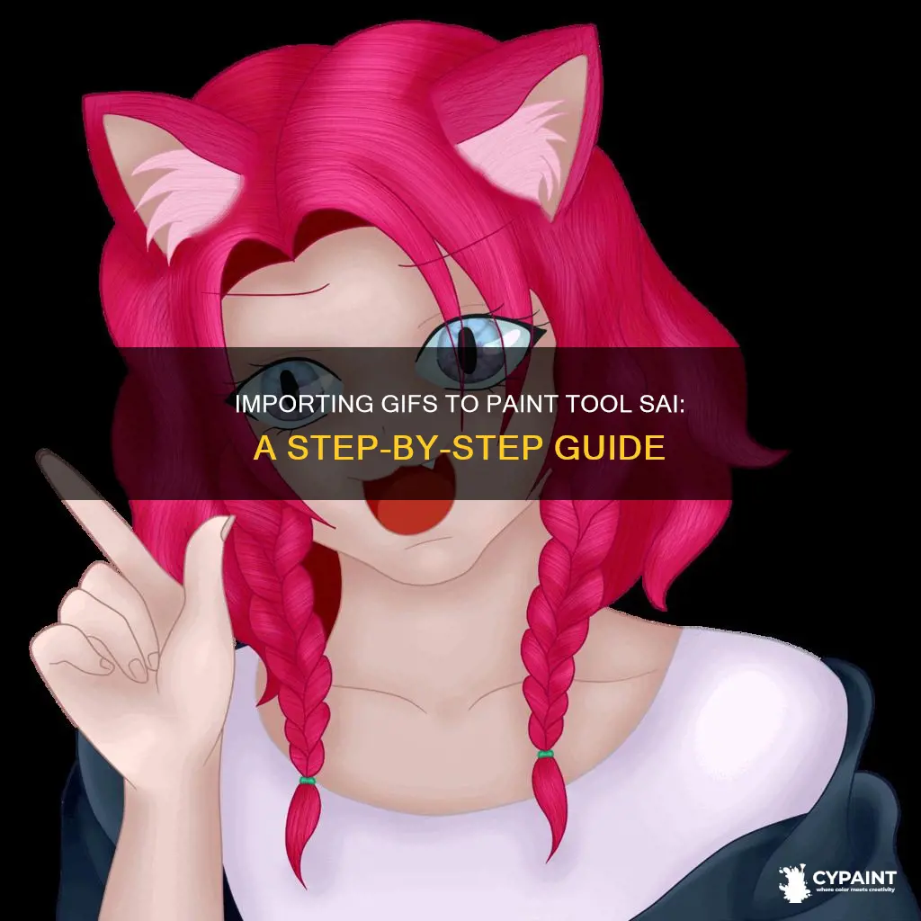 how to import a gif to paint too sai