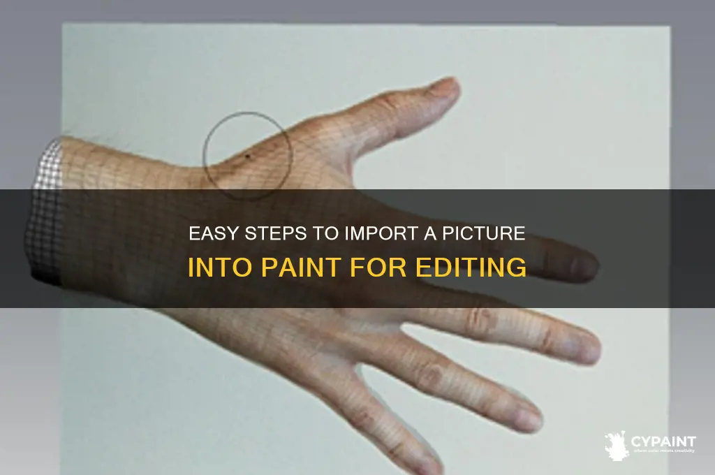 how to import a picure into paint