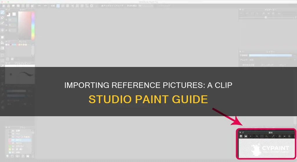 how to import a reference pic in clip paint