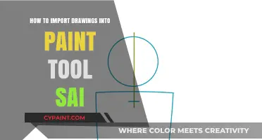 Importing Drawings into Paint Tool SAI: A Step-by-Step Guide